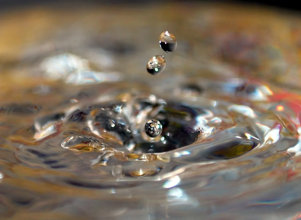 DSC_016o1.webp