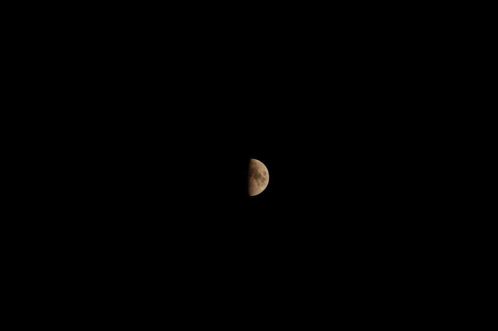 DSC_0170_478.jpg