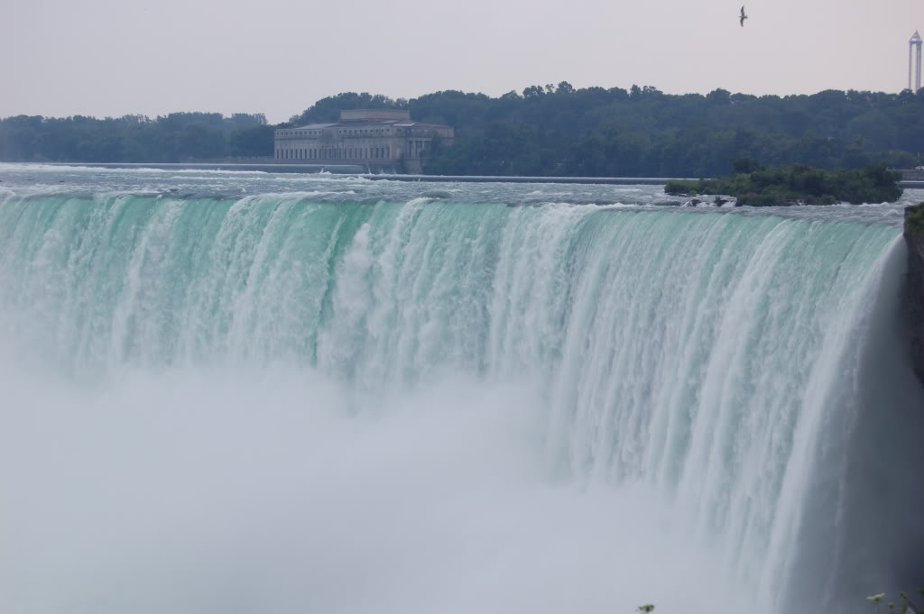DSC_01710156.jpg DSC_01710156.jpg