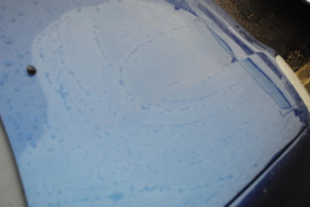 DSC_0176.webp