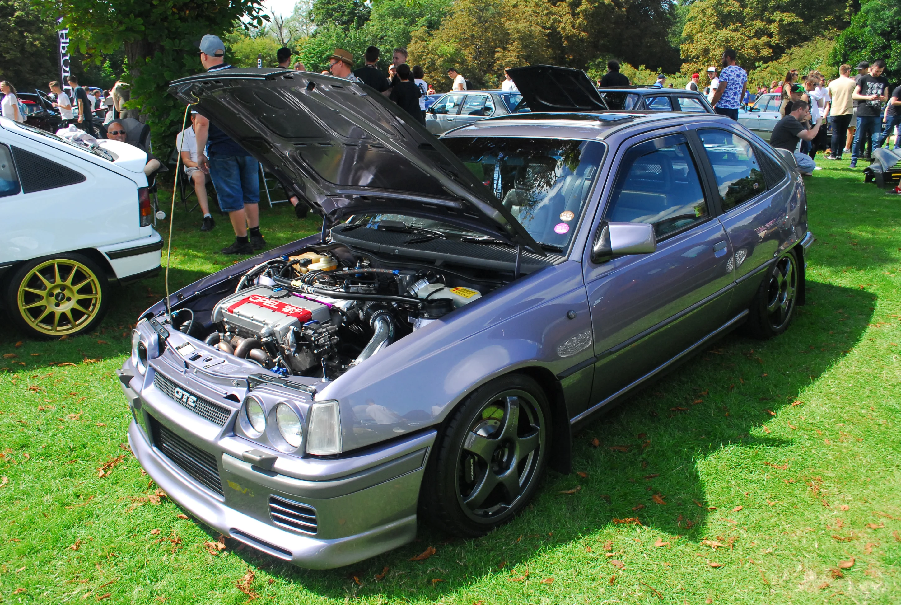 DSC_0179.webp