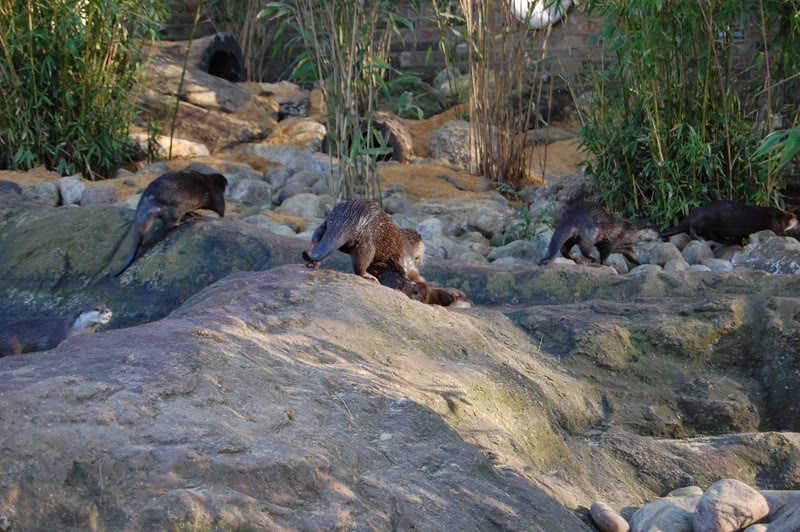 DSC_0180-Edit.jpg DSC_0180-Edit.jpg