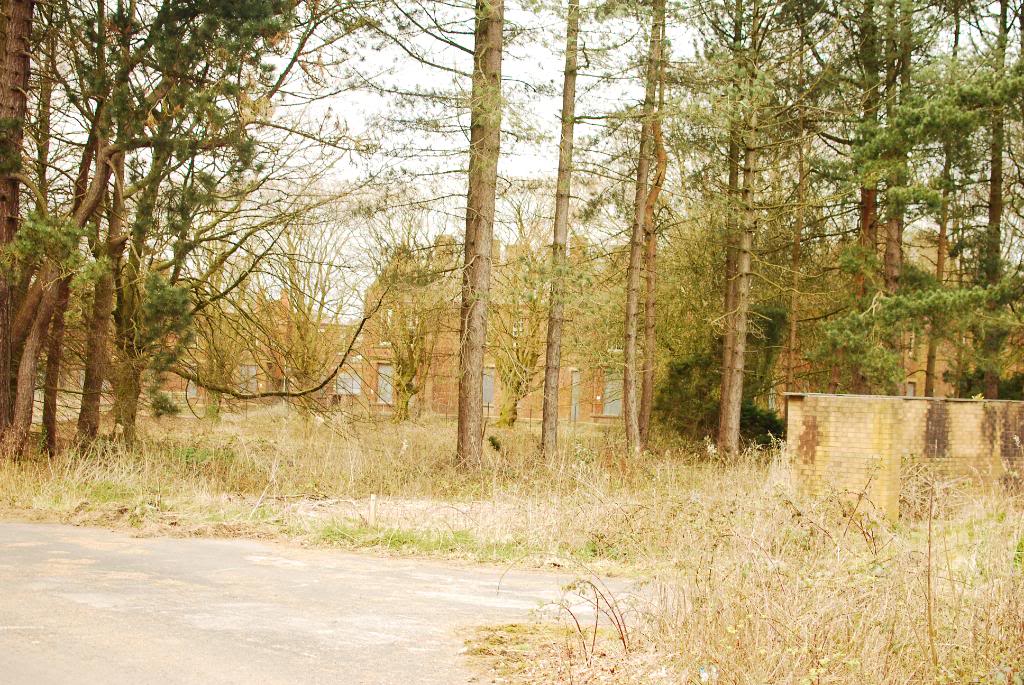 DSC_0181.jpg DSC_0181.jpg