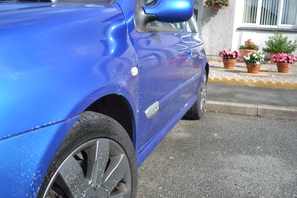 DSC_0184.jpg DSC_0184.jpg