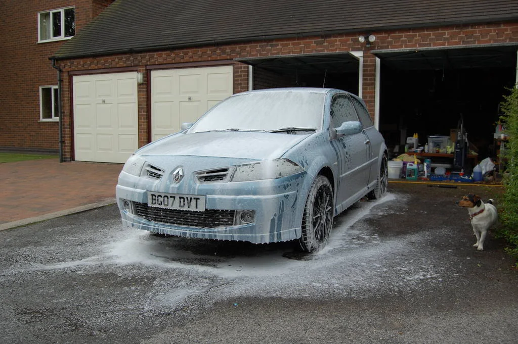 DSC_0184.webp