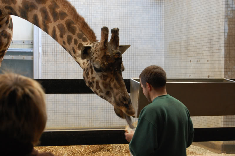 DSC_0185-Edit.jpg DSC_0185-Edit.jpg