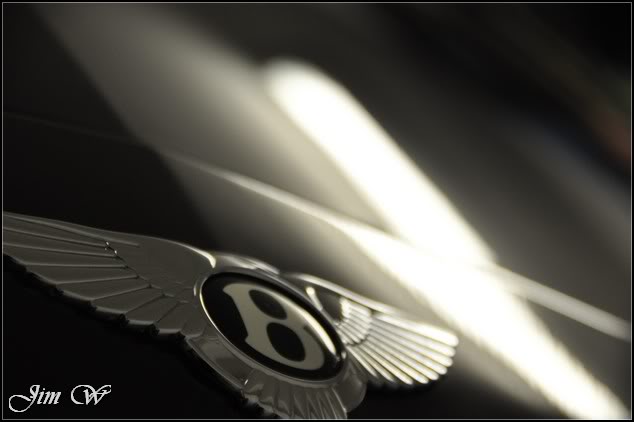 DSC_0186.jpg DSC_0186.jpg