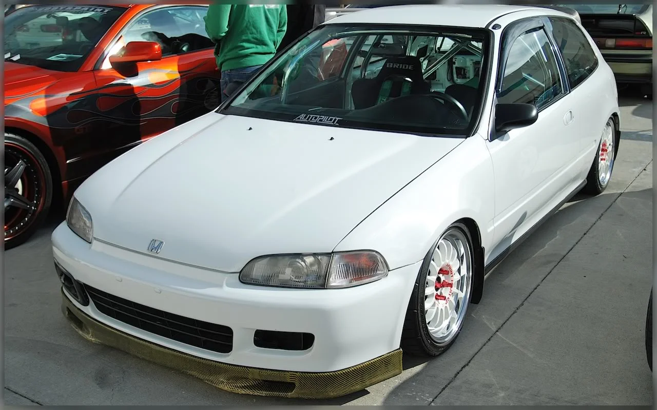 DSC_0187.webp