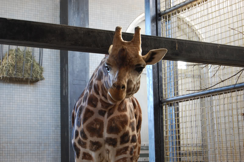 DSC_0190-Edit.jpg DSC_0190-Edit.jpg