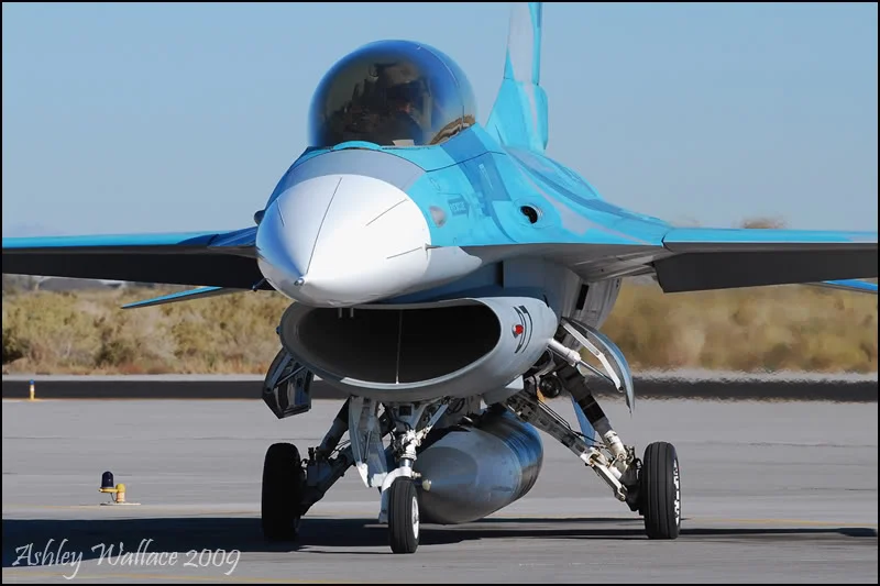 DSC_0190_falcon_B.webp
