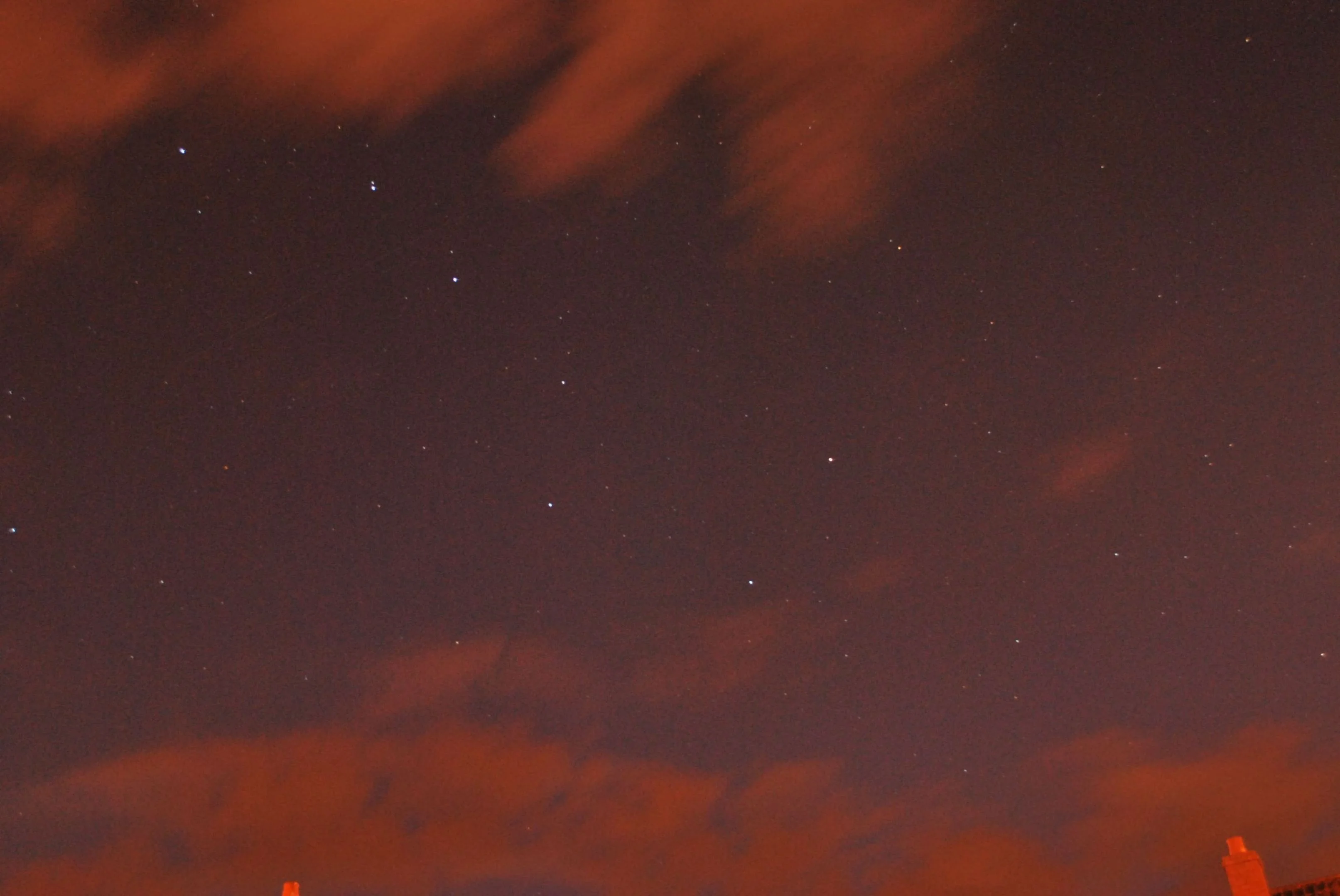 DSC_0193.webp