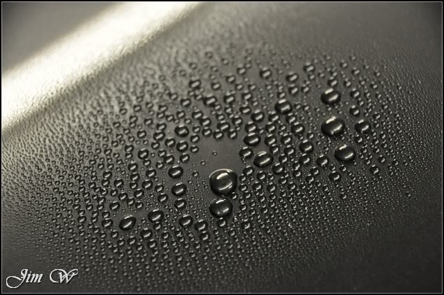 DSC_0194.jpg DSC_0194.jpg