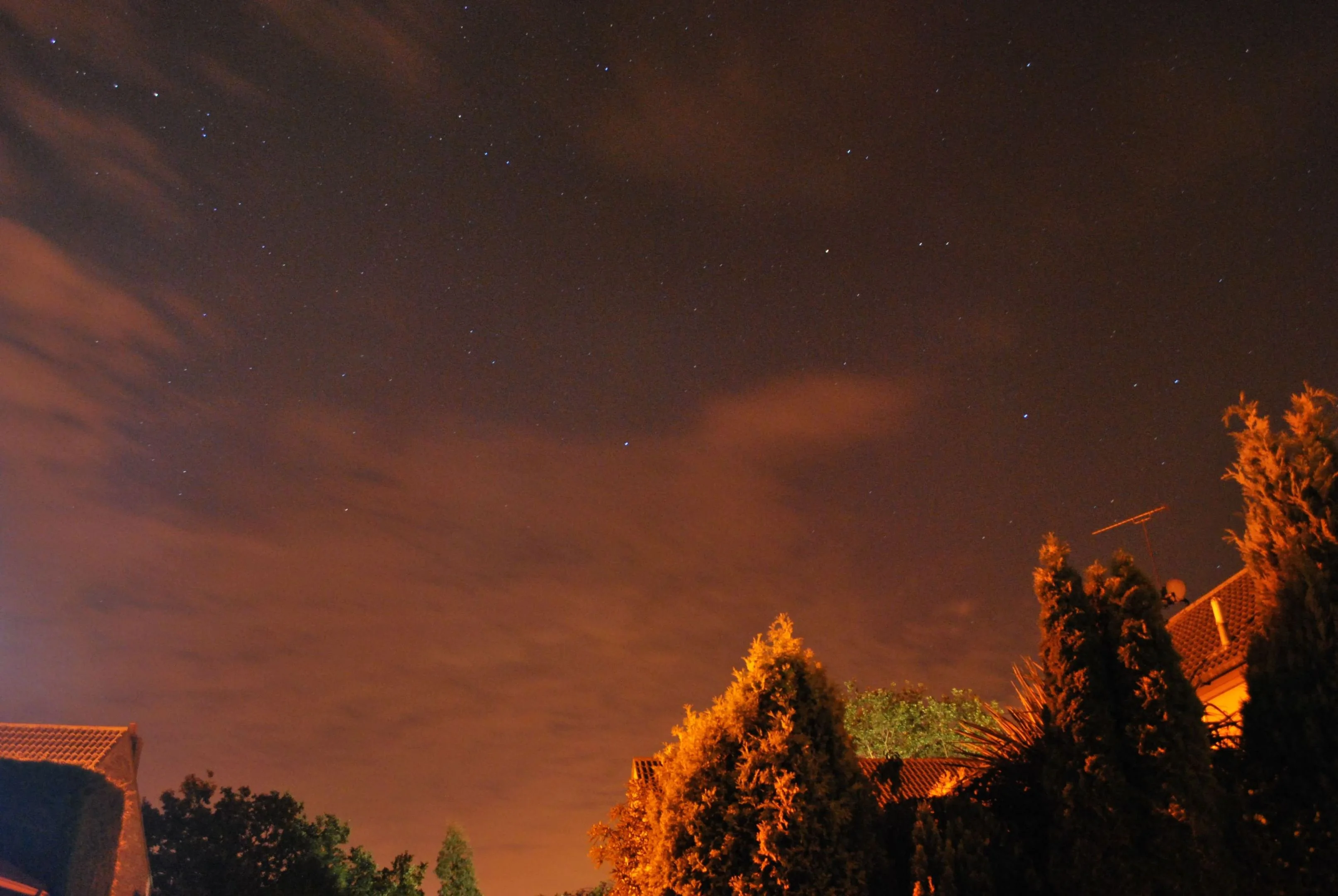 DSC_0194.webp