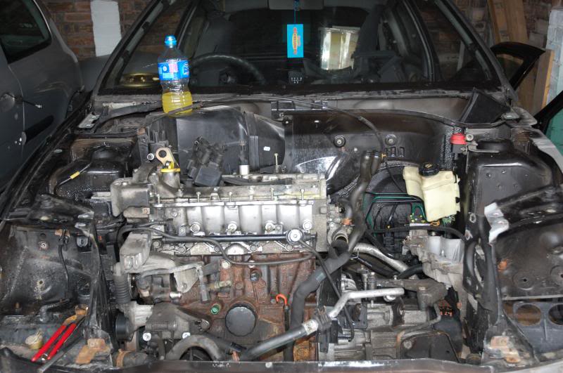 DSC_0194_zpsc888c0ae.jpg