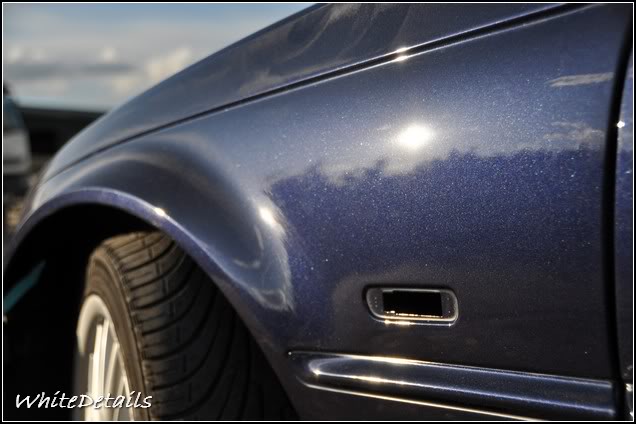 DSC_0195.jpg DSC_0195.jpg