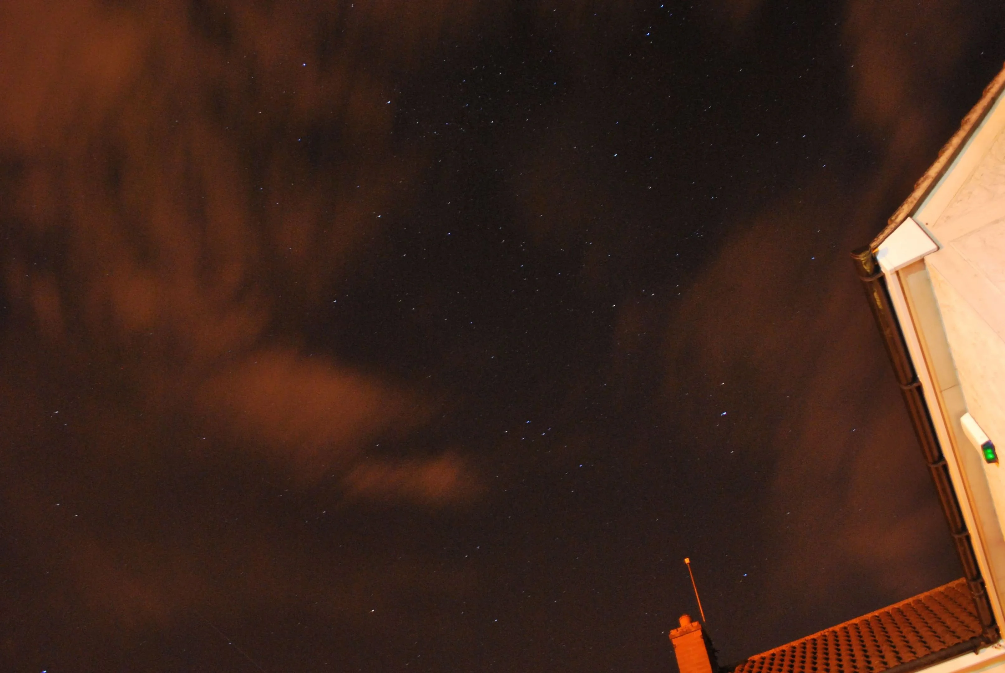 DSC_0195.webp