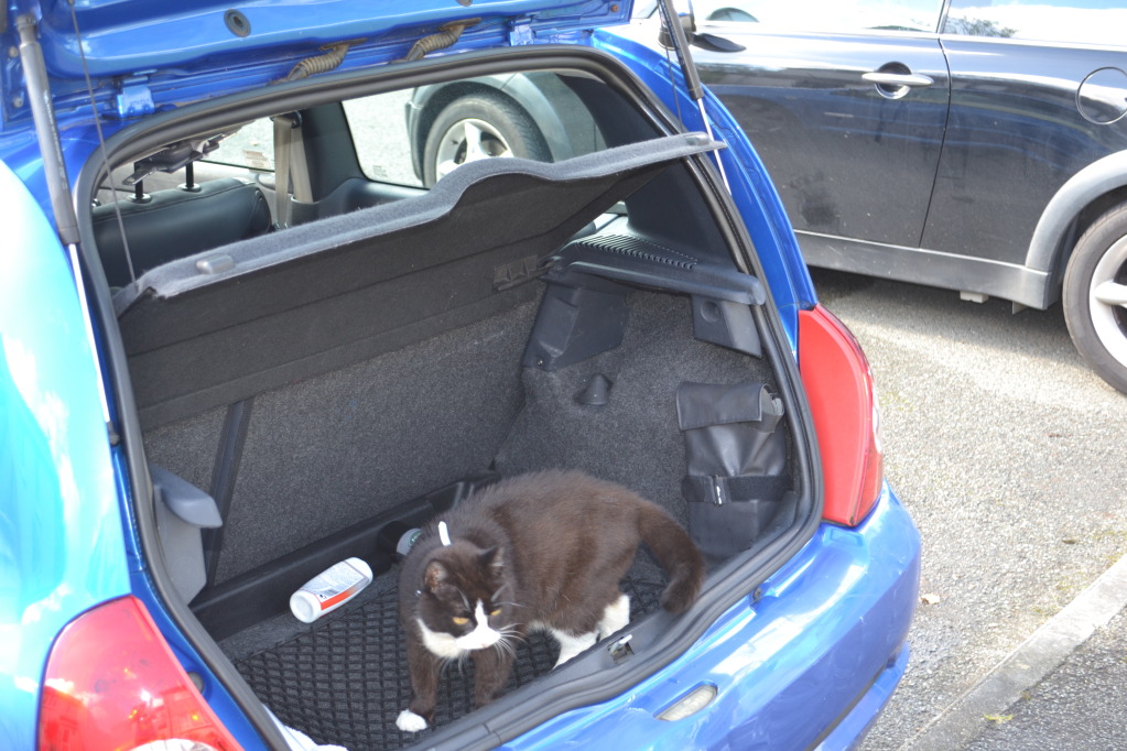 DSC_0197.jpg DSC_0197.jpg