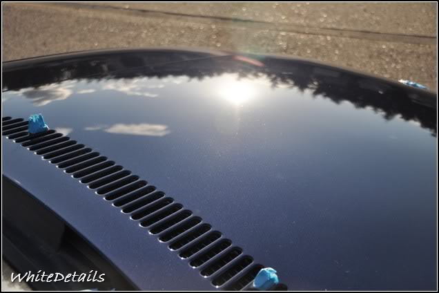 DSC_0198.jpg DSC_0198.jpg