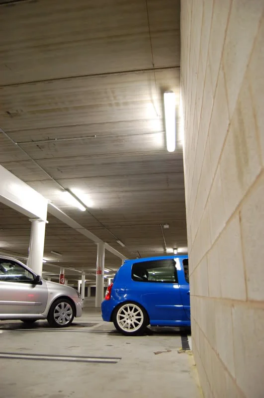 DSC_0200.webp