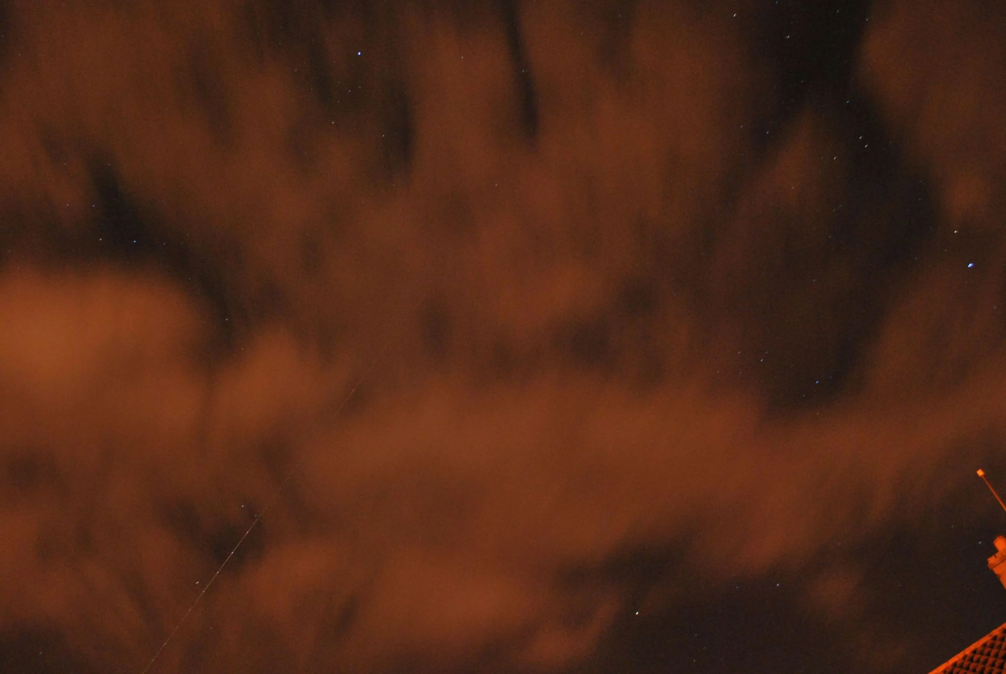 DSC_0201.webp