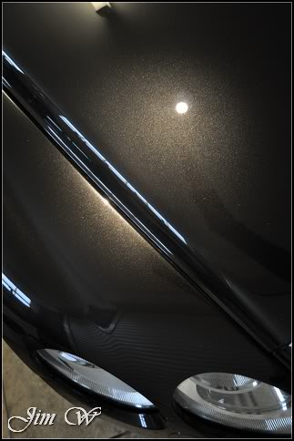 DSC_0203.jpg DSC_0203.jpg