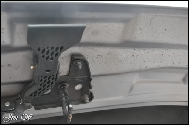 DSC_0203.jpg DSC_0203.jpg