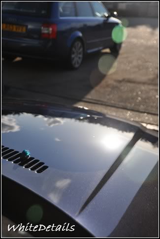 DSC_0203.jpg DSC_0203.jpg