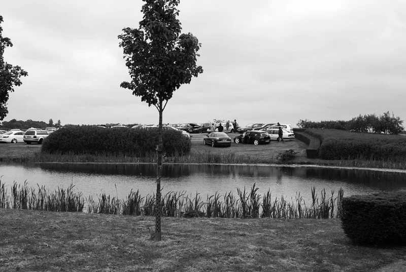 DSC_0203.webp