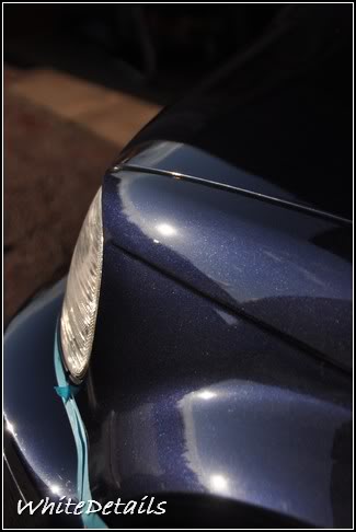 DSC_0204.jpg DSC_0204.jpg