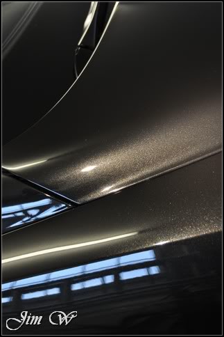 DSC_0205.jpg DSC_0205.jpg