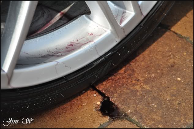 DSC_0205.jpg DSC_0205.jpg