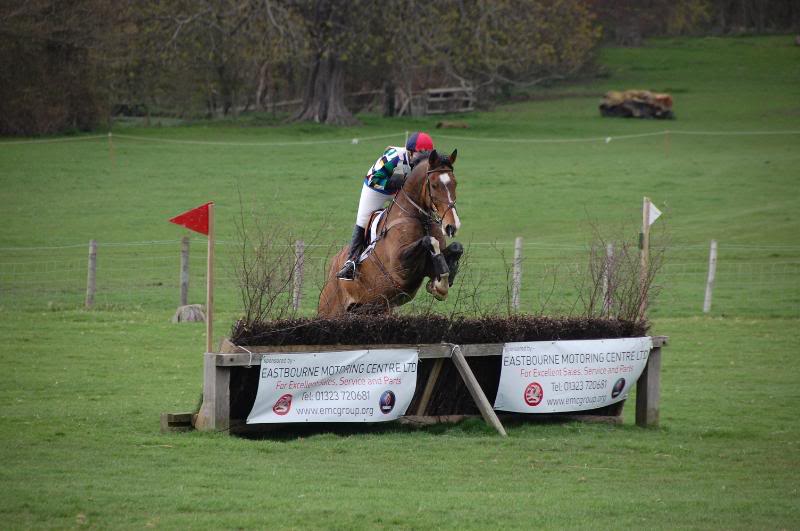 DSC_0209.jpg DSC_0209.jpg