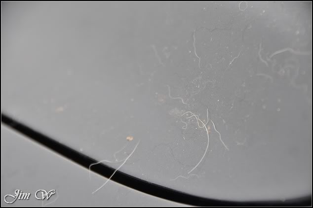 DSC_0211.jpg DSC_0211.jpg