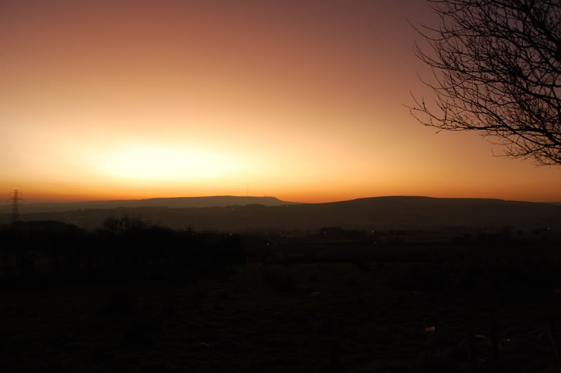 DSC_0216.jpg