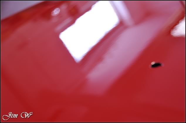 DSC_0216.jpg DSC_0216.jpg