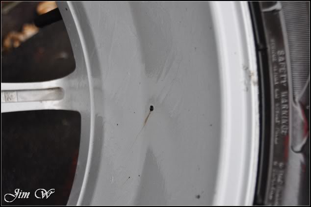 DSC_0219.jpg DSC_0219.jpg