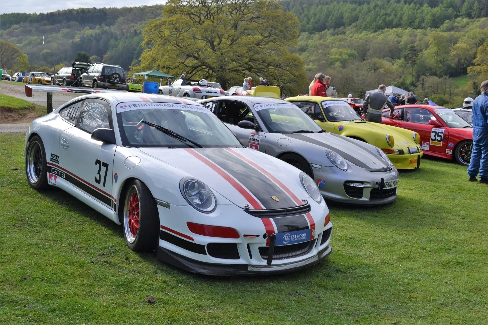 DSC_0221 (2).webp