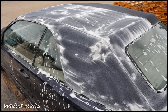 DSC_0221.jpg DSC_0221.jpg