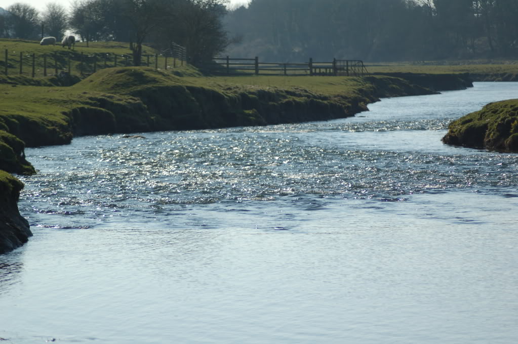 DSC_0226.jpg