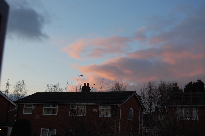 DSC_0227.jpg