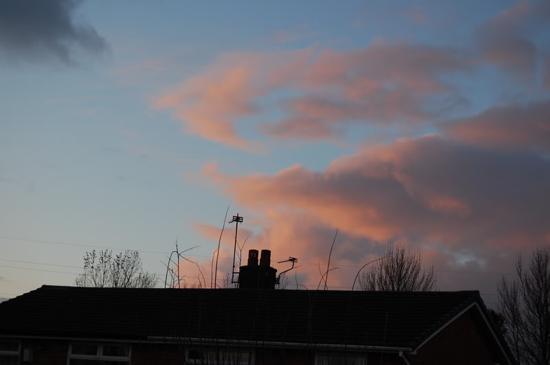 DSC_0228.jpg
