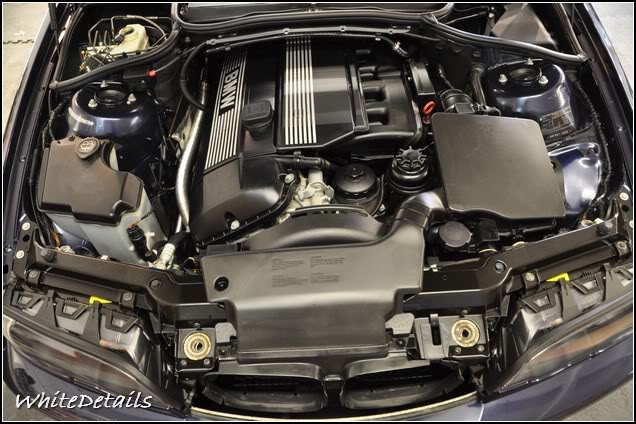 DSC_0229.jpg DSC_0229.jpg