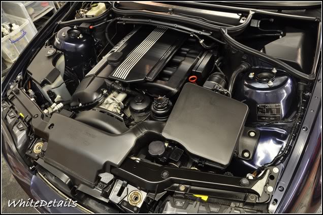 DSC_0230.jpg DSC_0230.jpg