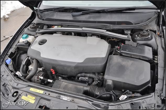 DSC_0233.jpg DSC_0233.jpg