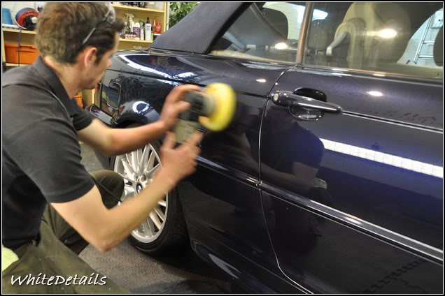 DSC_0237.jpg DSC_0237.jpg