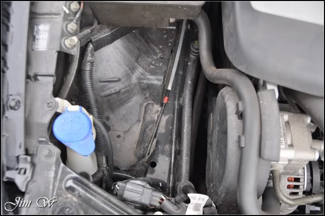 DSC_0238.jpg DSC_0238.jpg