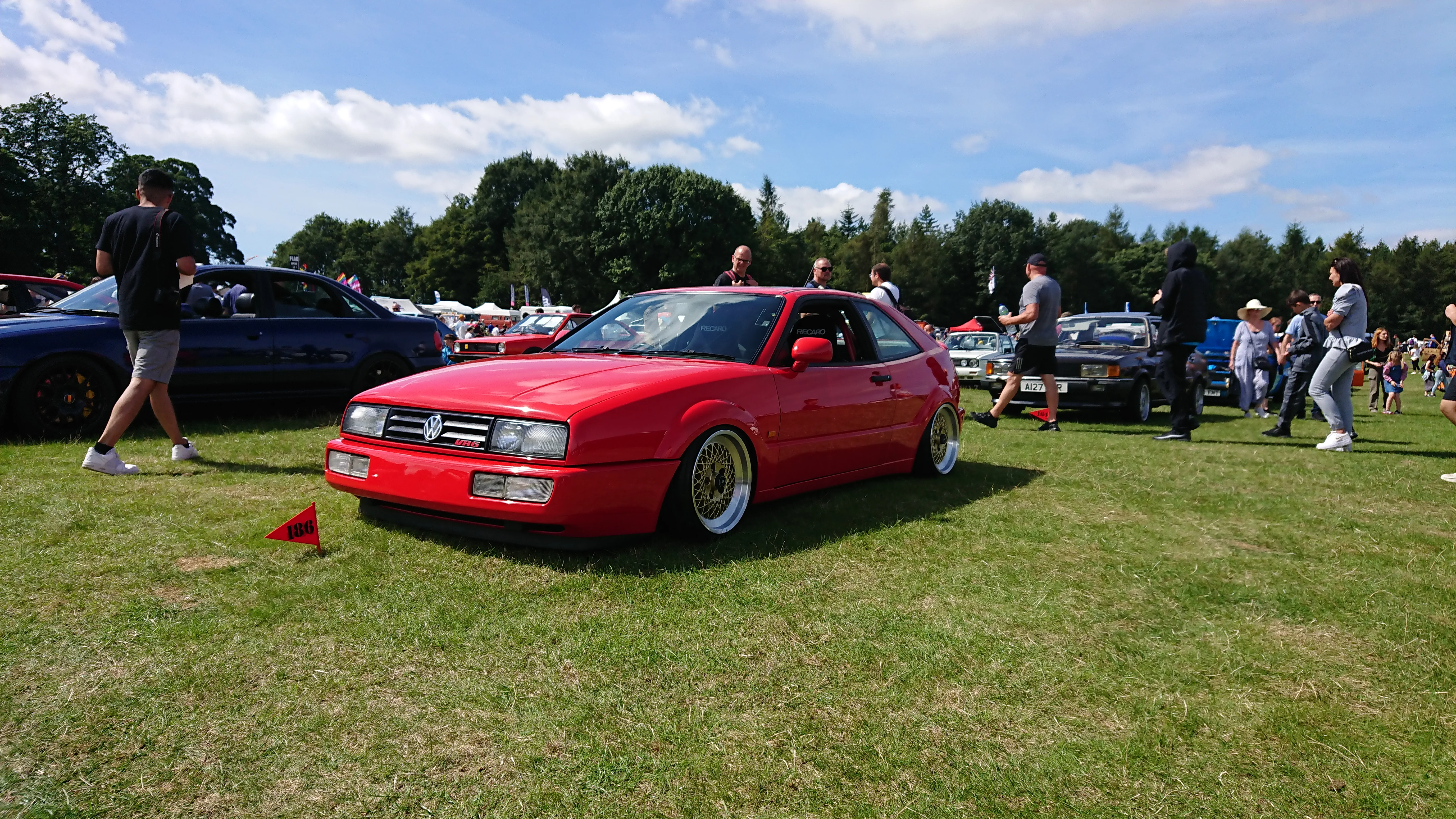DSC_0238.webp
