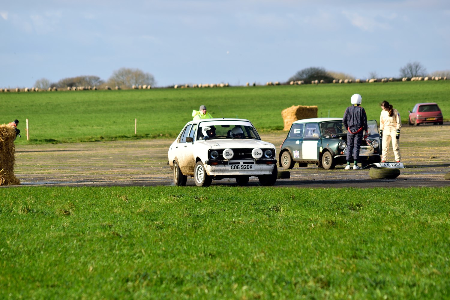 DSC_0239%20%28Custom%29.jpg