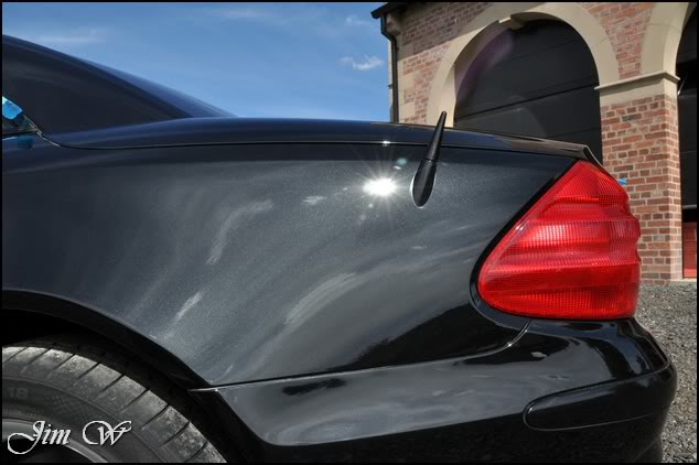 DSC_0239.jpg DSC_0239.jpg