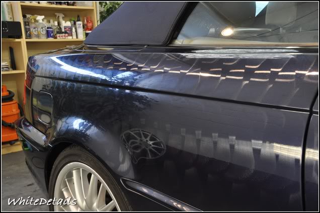 DSC_0239.jpg DSC_0239.jpg